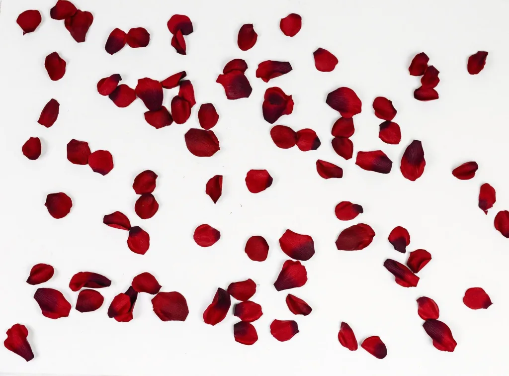 Ruby petals scattered on a pale surface